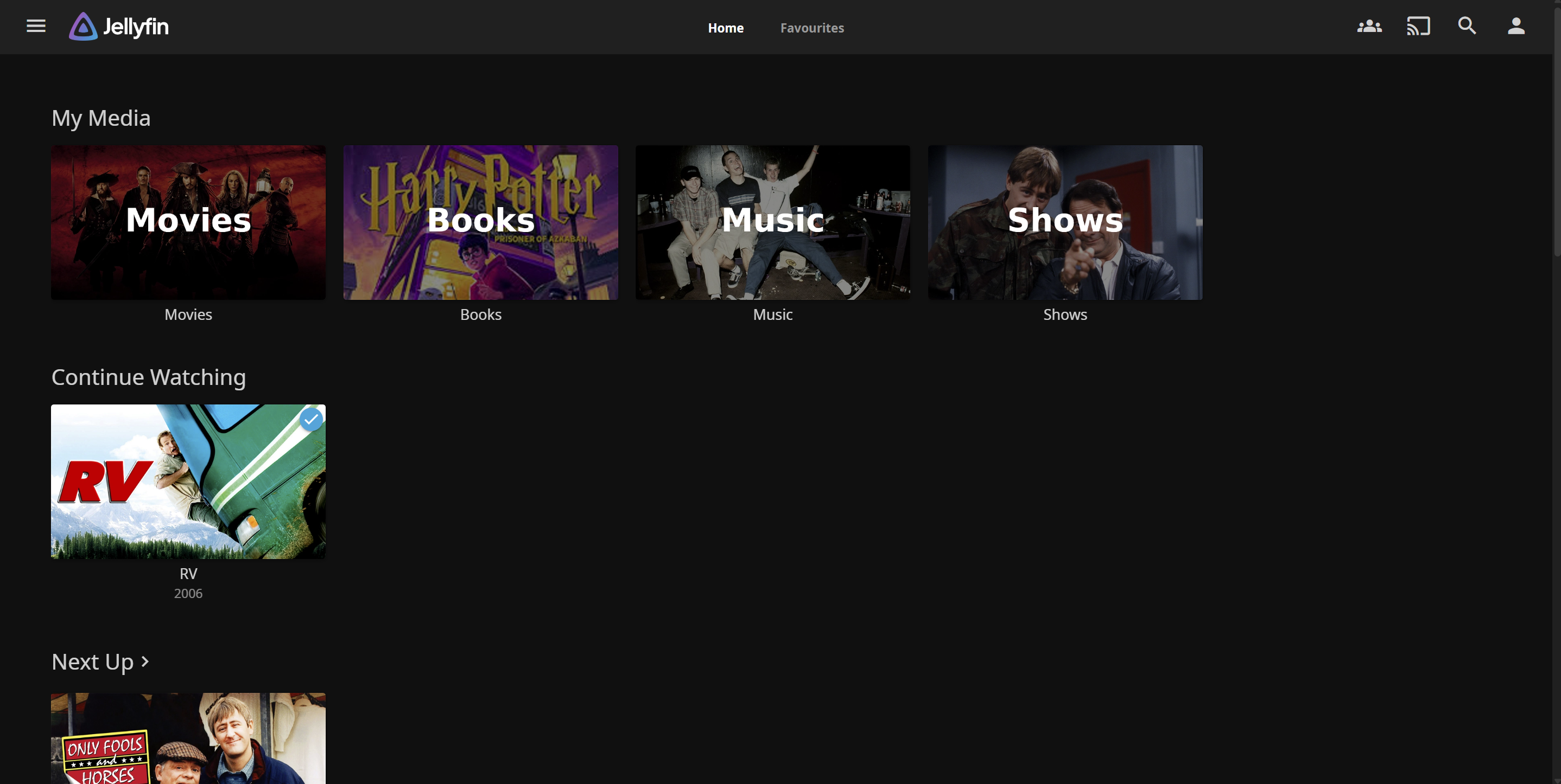 Media dashboard view used for Jellyfin section